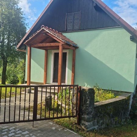 Forest Chalet Zalesina Exteriér fotografie