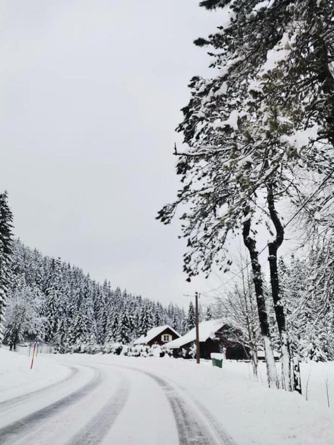 Forest Chalet Zalesina Exteriér fotografie