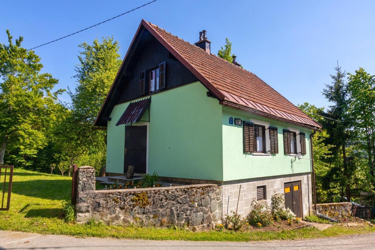Forest Chalet Zalesina Exteriér fotografie
