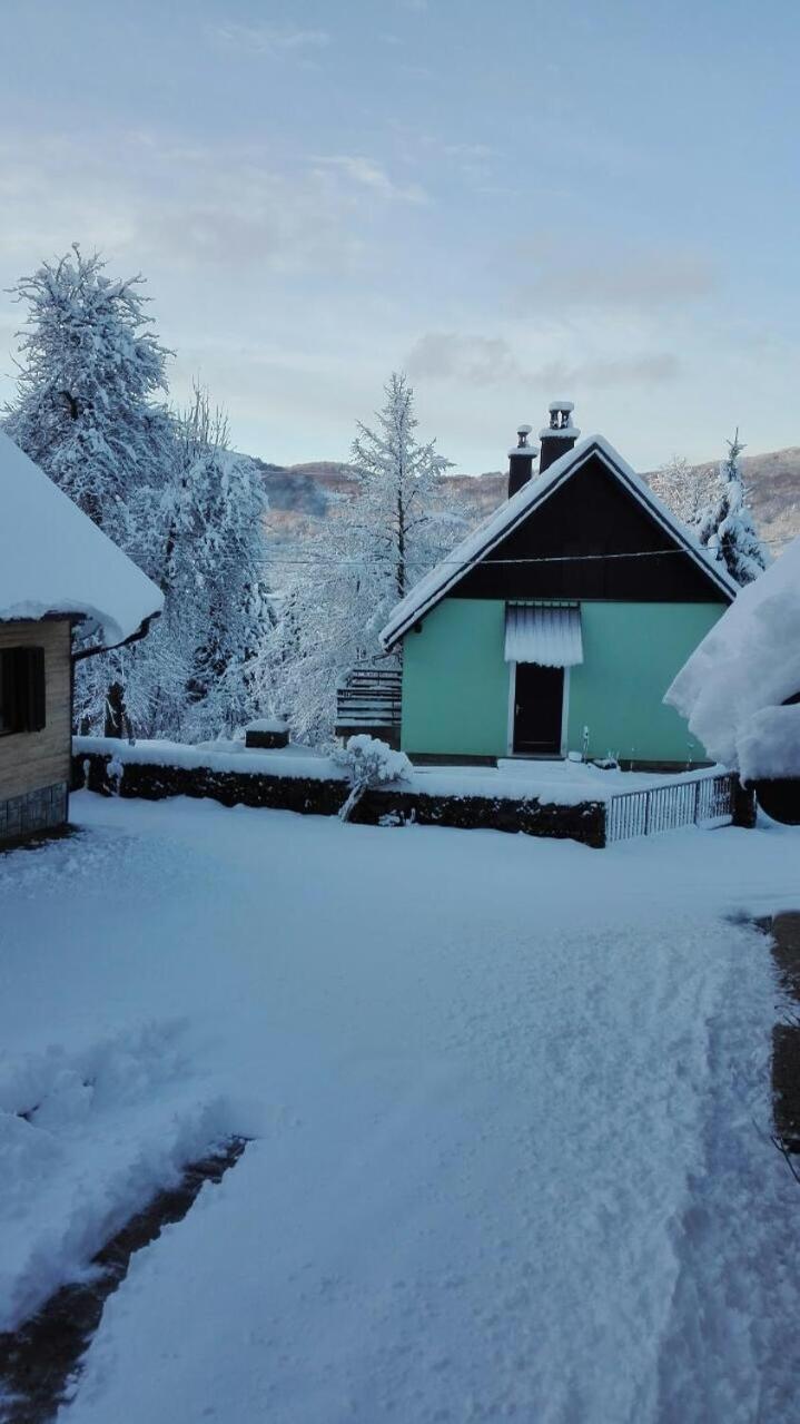 Forest Chalet Zalesina Exteriér fotografie